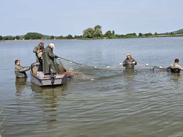 Žehuň 25 (3).jpg